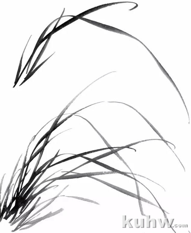 图文教程:兰花的画法入门