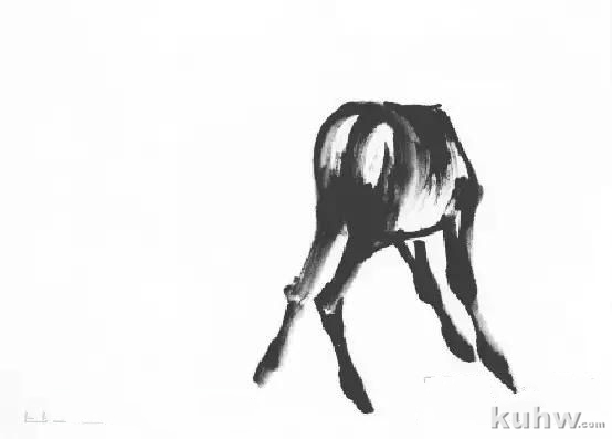 教你怎样画毛驴,小毛驴简单画法画法,国画写意毛驴的画法和步骤图解