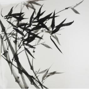 跟张晖老师学画竹:墨竹画法步骤图