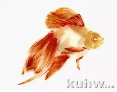 国画扇面金鱼画法图文教程，金鱼的画法技巧步骤，水草的画法