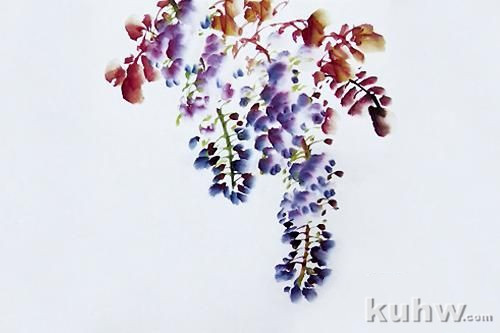 书画课程：紫藤花的画法（视频二）
