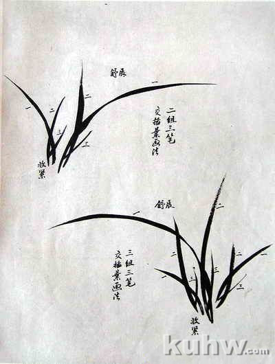 中国写意画兰花的画法步骤