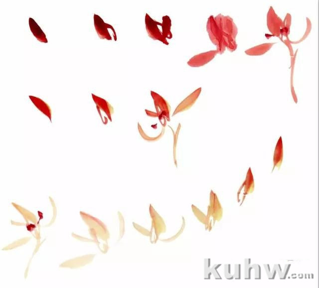 图文教程:兰花的画法入门