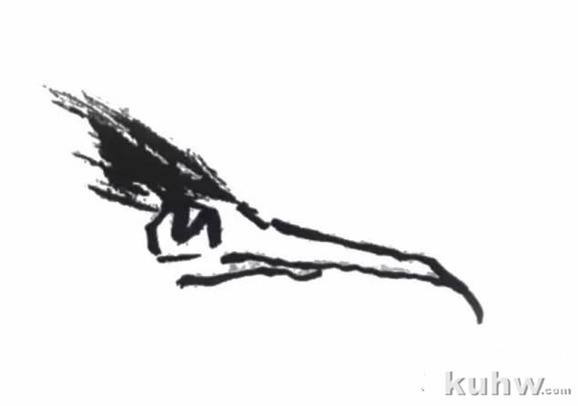 图文教程：写意禽鸟的画法（一）