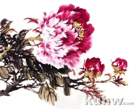 国画自学入门：学国画之画牡丹教程图文示范步骤