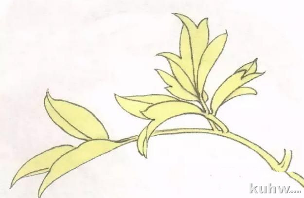 图文教程:工笔牡丹叶子着色方法