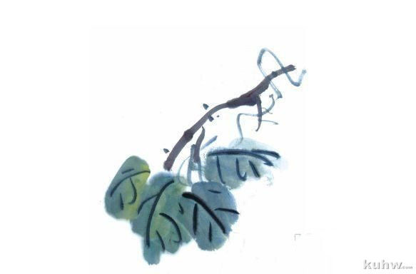 葡萄、桃子、蘑菇、荸荠的画法