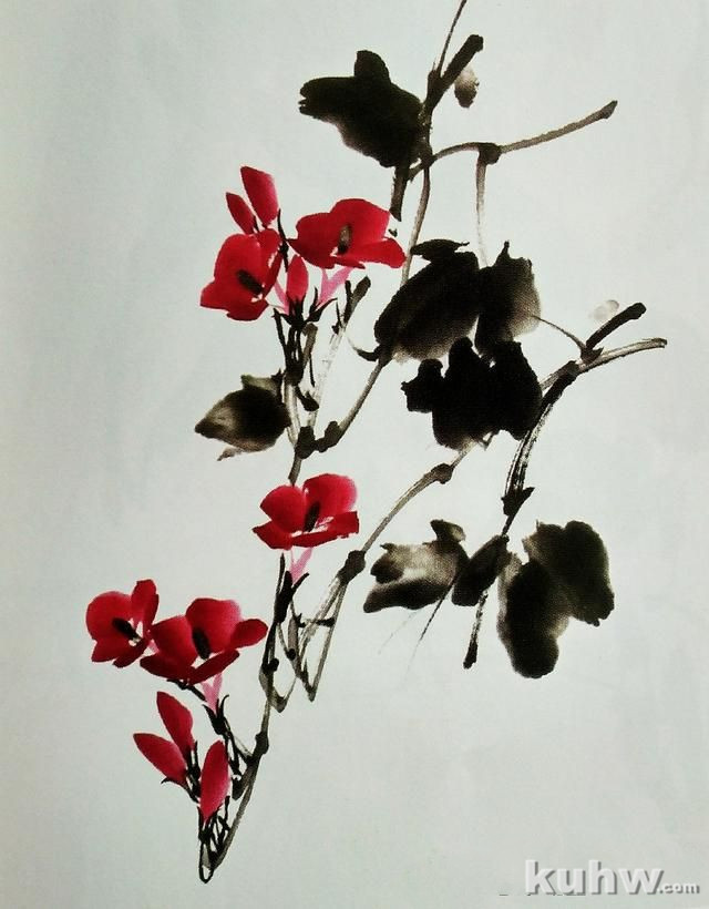 国画之整枝牵牛花的画法,以及牵牛花的多种形态画法