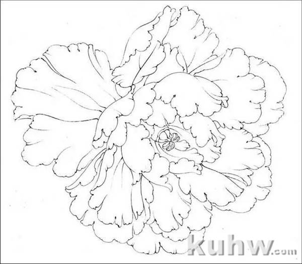 画友之家-技法篇-工笔柿子和牡丹画法大集合，快快收藏！