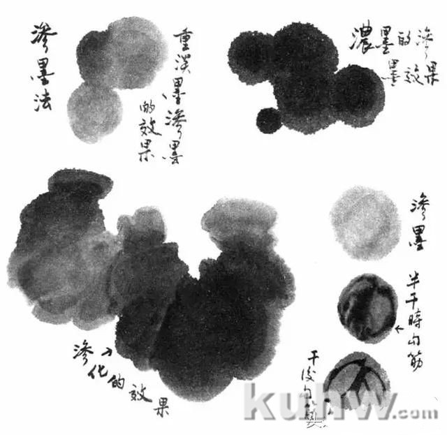 写意花鸟用墨技法详解!