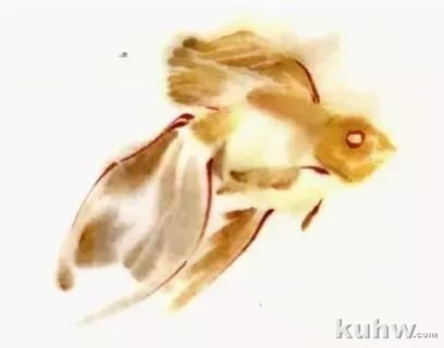 国画扇面金鱼画法图文教程，金鱼的画法技巧步骤，水草的画法