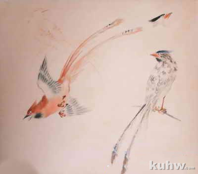 王雪涛花鸟画手稿：长尾蓝鹊、红寿带的画法