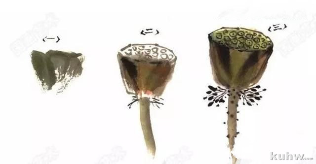 健德书画艺术院告诉你荷花应该怎么样画