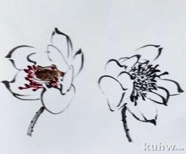 国画之荷花花头的没骨法画法,以及不同形态的荷花花头