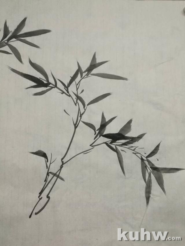 新竹创作小品(仰竹)