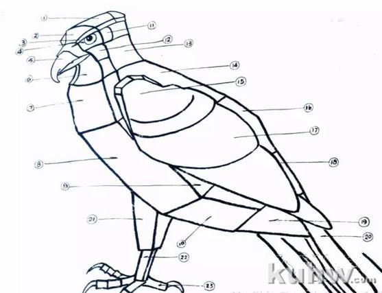 图文教程：国画鹰的画法