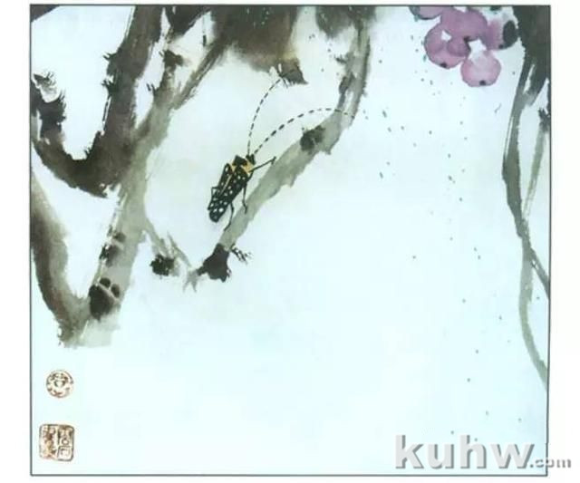 动物写生画法(下)