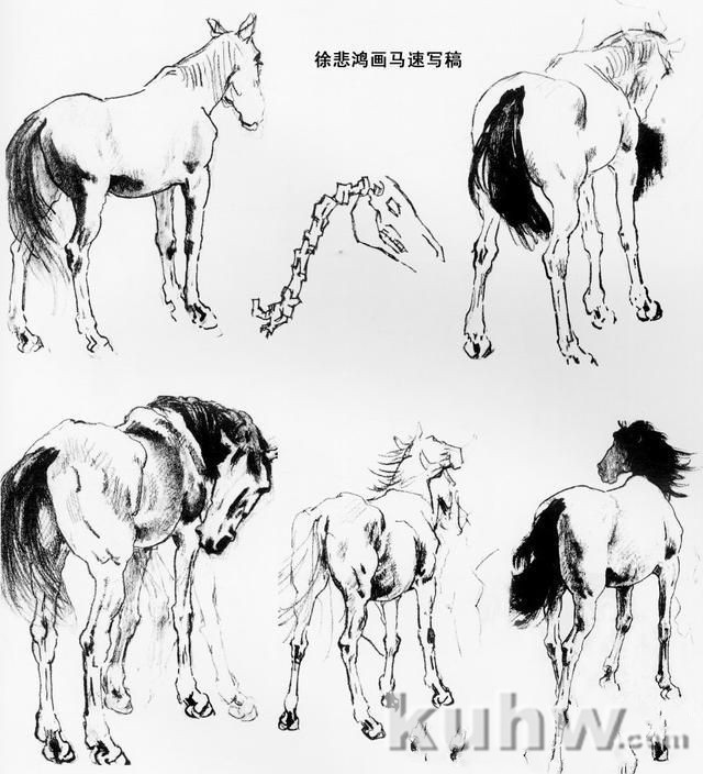 画马超级教程:徐悲鸿画马技法(上)