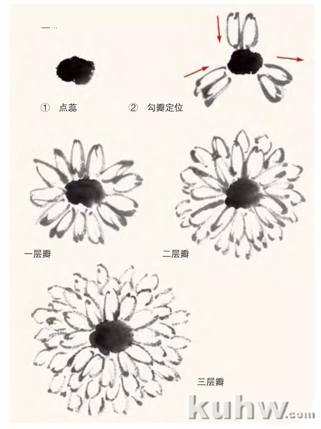 写意菊花画法，清晰明了