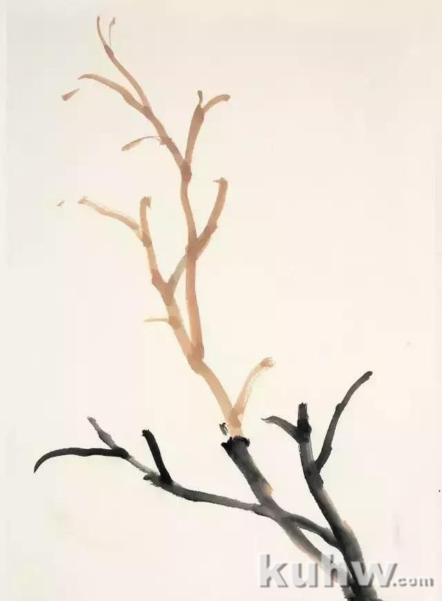 花卉的多种画法