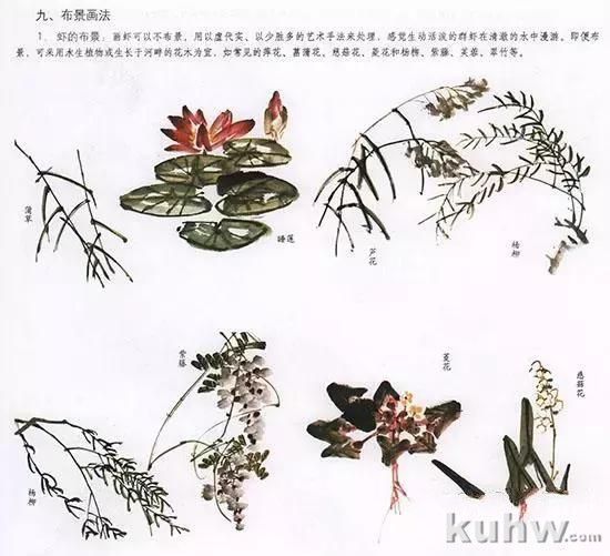 国画花鸟技法:几种虫儿的画法