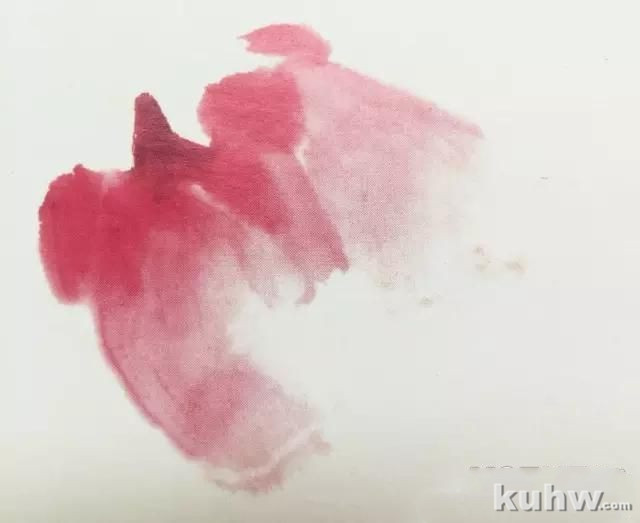 国画牡丹之一(花瓣、花头的画法)