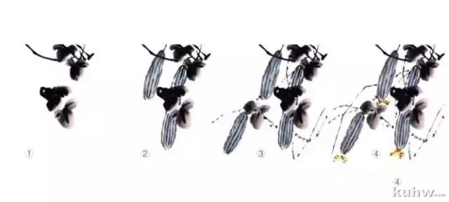 写意藤蔓植物画法教程 藤蔓,叶的组合画法,牵牛花扁豆紫藤凌霄葫芦丝瓜葡萄南瓜的写意画法