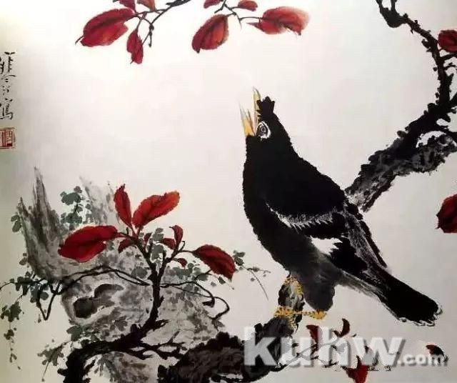 大家江寒汀教你画各类禽鸟!