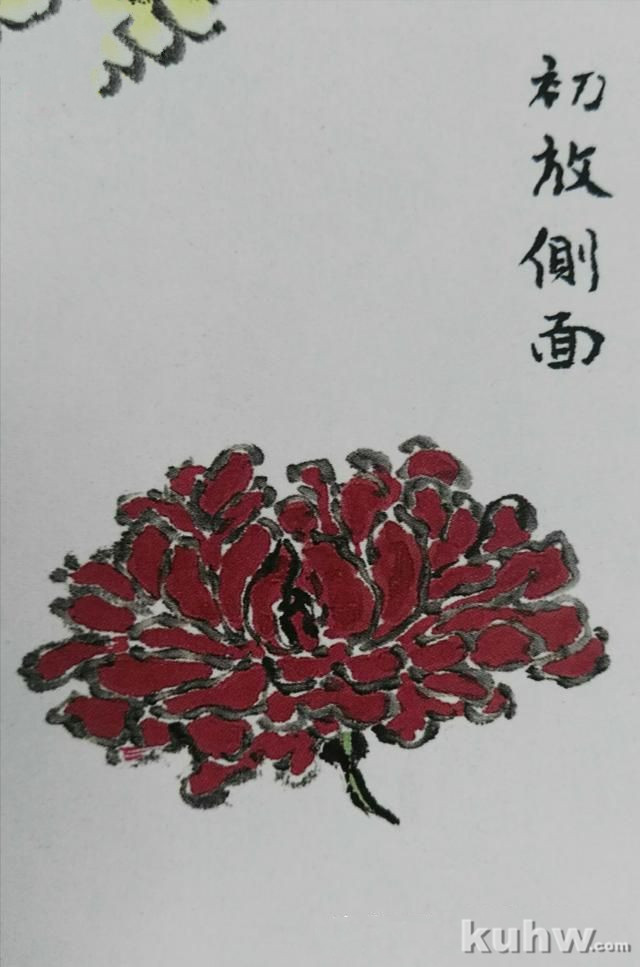 墨菊画花头第五步，层顶亚瓣花四种画法