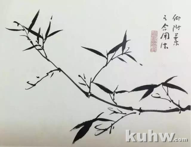 学习画竹,太全面了
