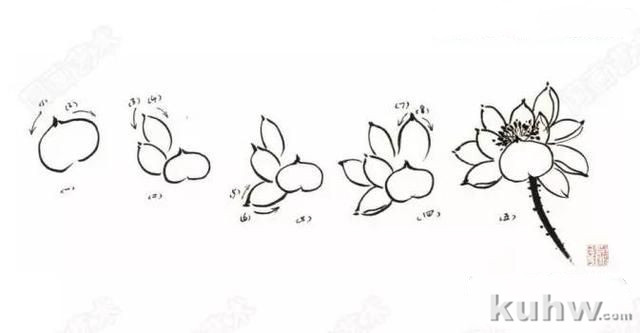 健德书画艺术院告诉你荷花应该怎么样画