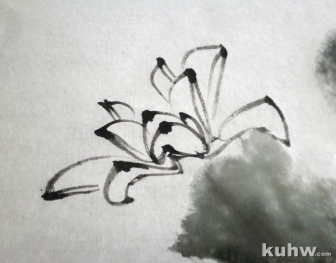 荷花之画法 - qingyun2008a - 青云的博客