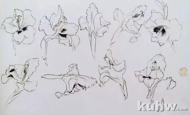 名师课徒稿:跟着陆抑非学画花卉!