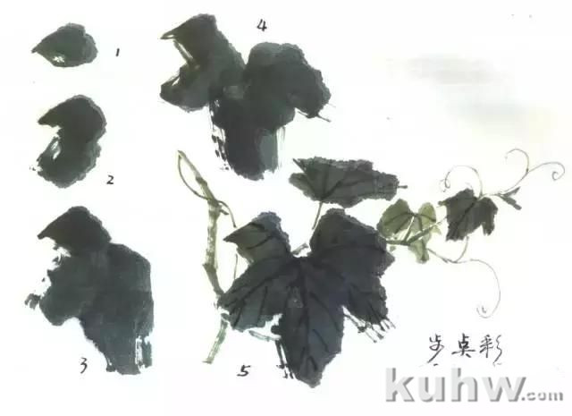 写意花鸟临本:国画葡萄画法,葡萄的绘画技法