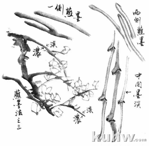 写意花鸟用墨技法详解!