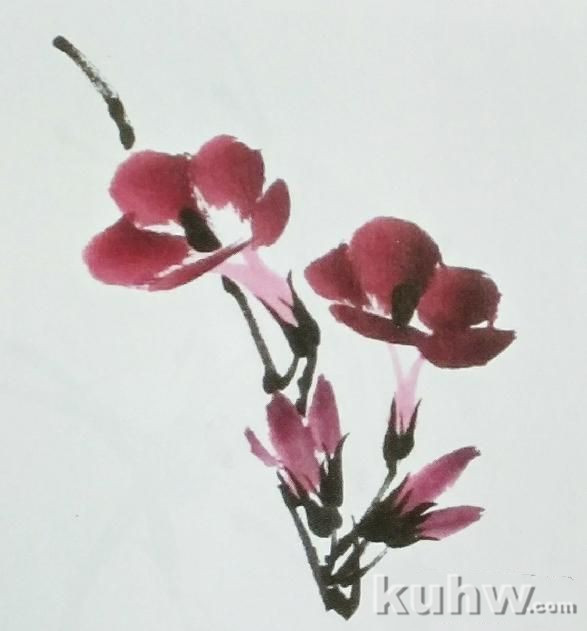 国画之整枝牵牛花的画法,以及牵牛花的多种形态画法