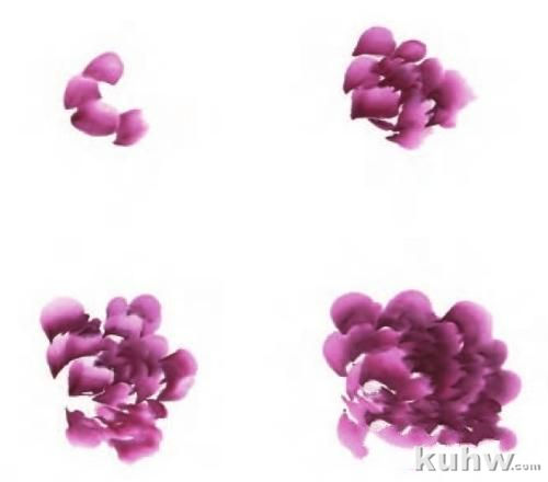 国画牡丹技法：6种颜色牡丹的画法