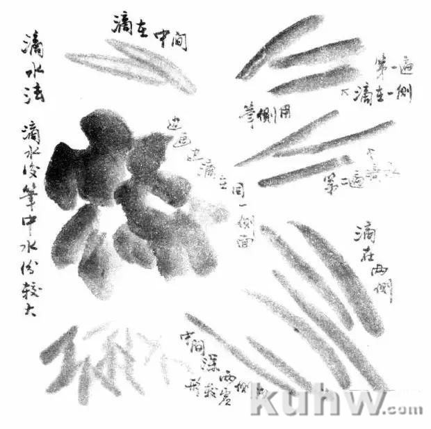 写意花鸟用墨技法详解!