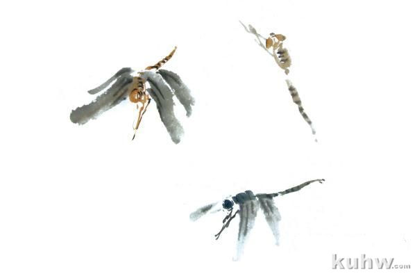 蜜蜂、蜻蜓、螳螂、天牛、蟋蟀的画法