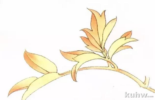 图文教程:工笔牡丹叶子着色方法