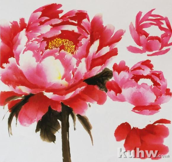 国画牡丹的画法教程
