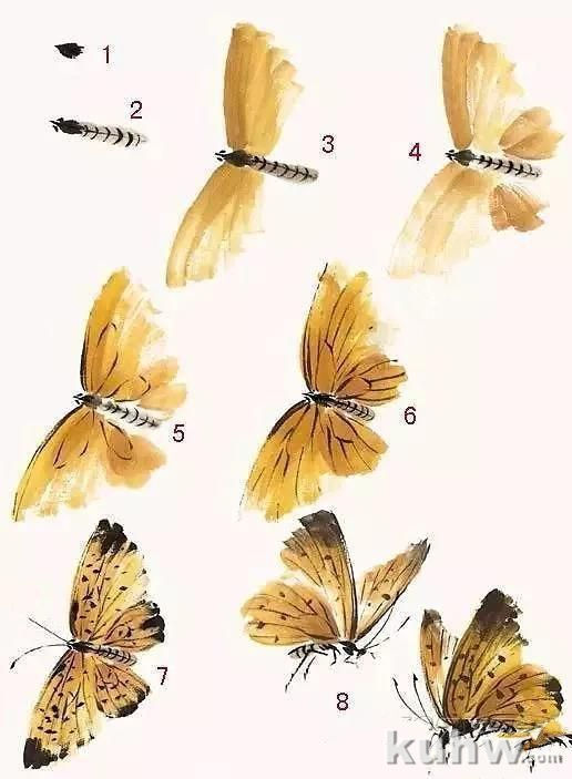 草虫画法――蝴蝶