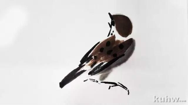 如何画好各种姿态的麻雀（详细步骤图解 1）