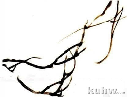 怎么画紫藤,写意紫藤的画法与步骤图