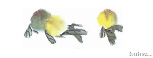 葡萄、桃子、蘑菇、荸荠的画法