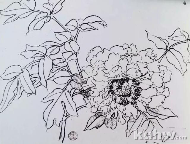 名师课徒稿:跟着陆抑非学画花卉!