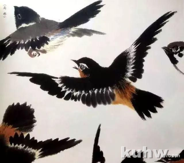 大家江寒汀教你画各类禽鸟!