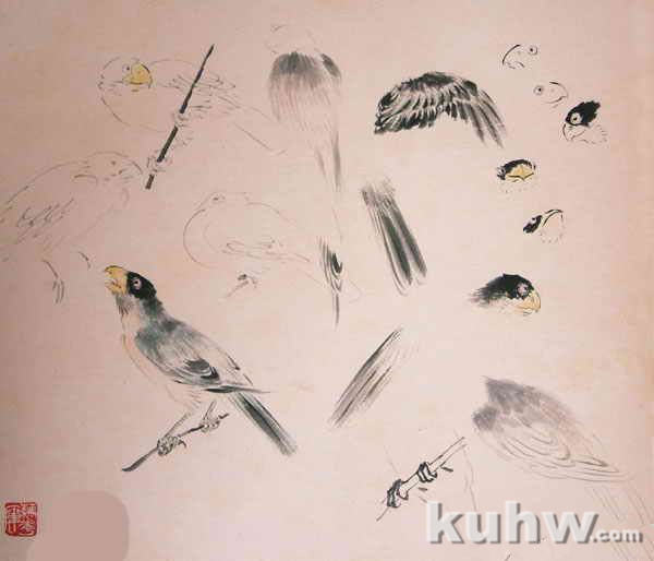 王雪涛花鸟画手稿：长尾蓝鹊、红寿带的画法