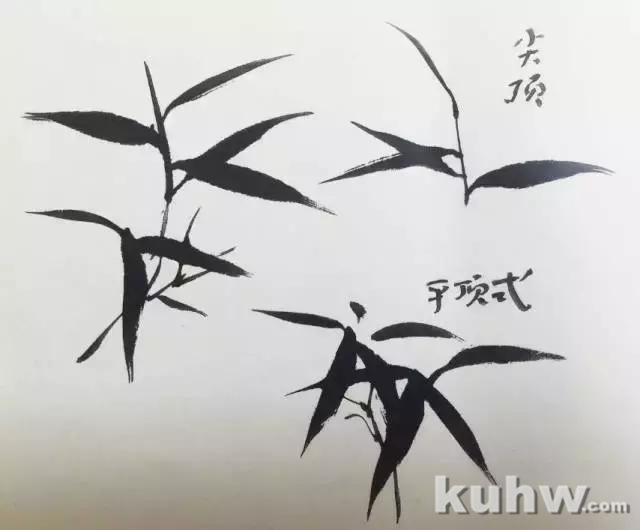学习画竹,太全面了