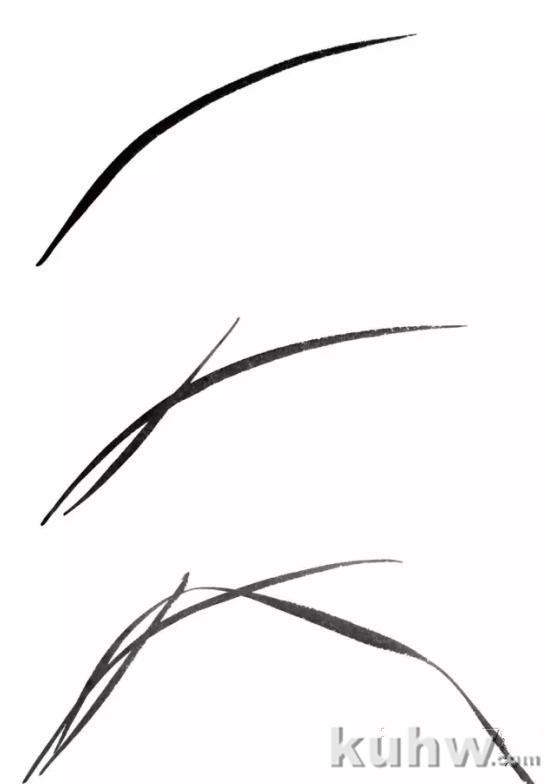 图文教程:兰花的画法入门